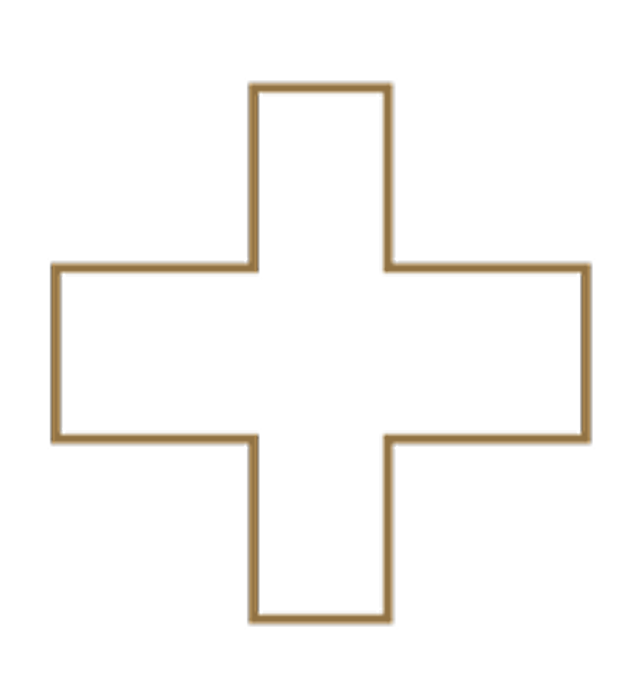 Icono Cruz Médica