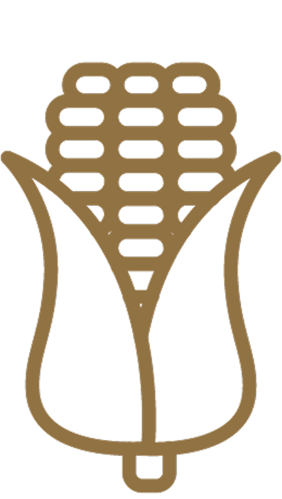 Icono Maíz